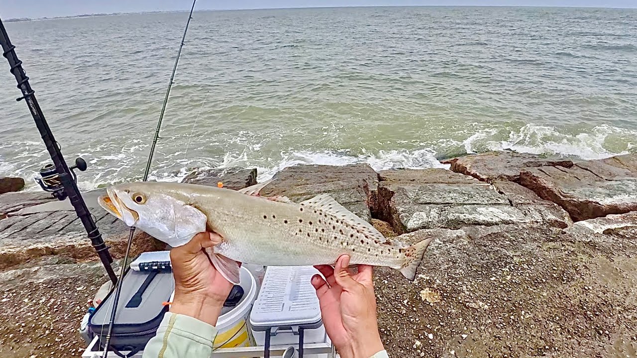 RAW Jetty fishing: I made one simple change and caught a limit (S7 E79)