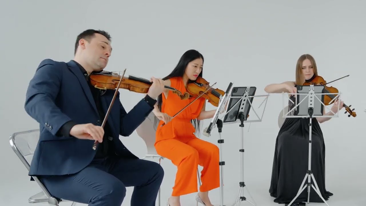 This Land (Der König der Löwen) – Hans Zimmer | Streichquartett (Live)