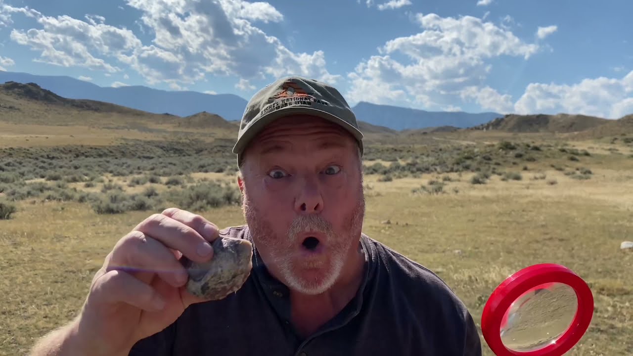 Wyoming Stone Ranger Petrified Wood Forest Rockhounding Enormous