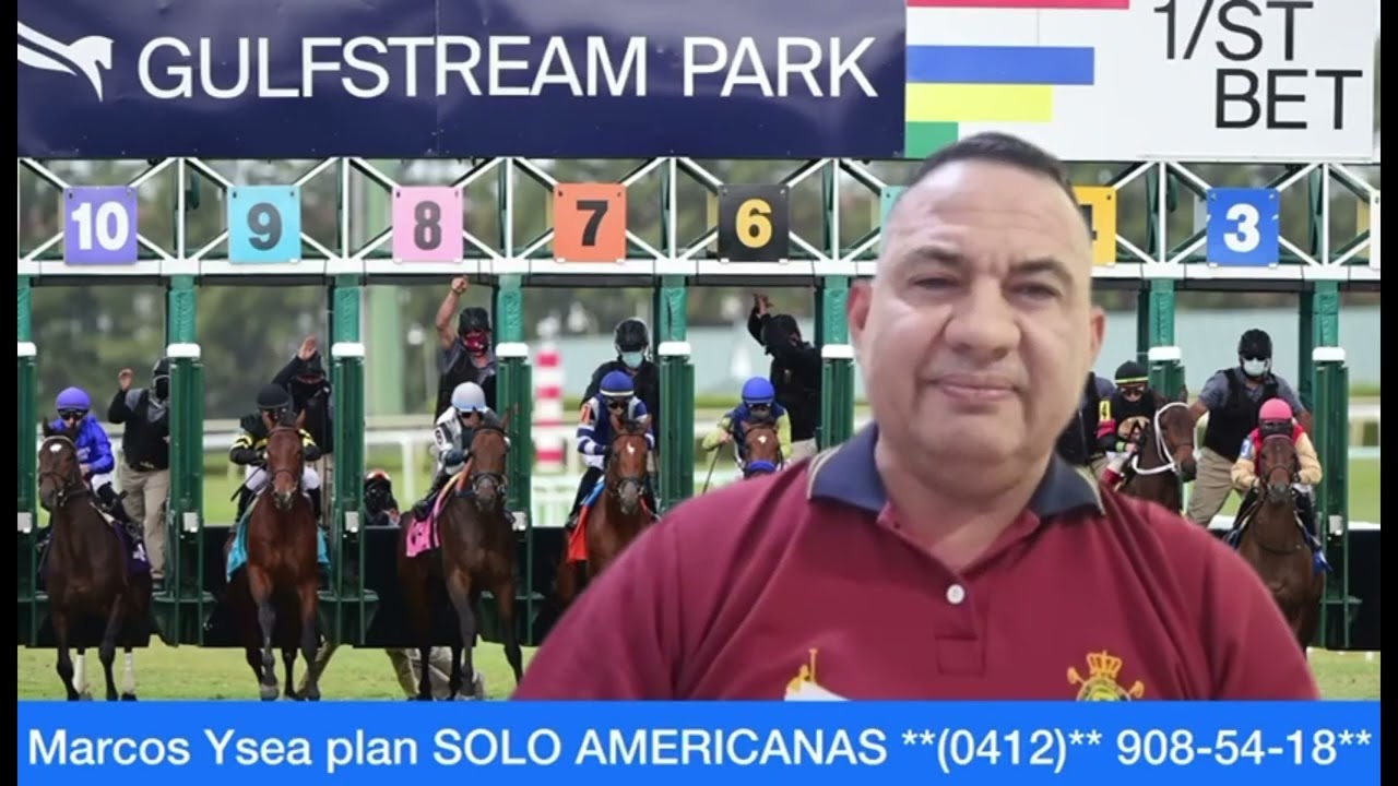 #sabado 07#marzo #gulfstreampark #caballos #venezuela #horse #venezolanoseneeuu 