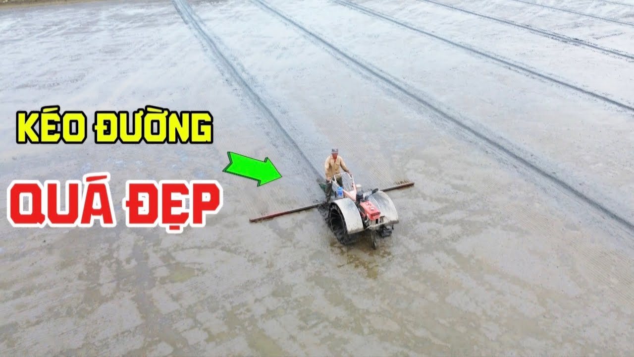 A tèn hen kéo đường nước 