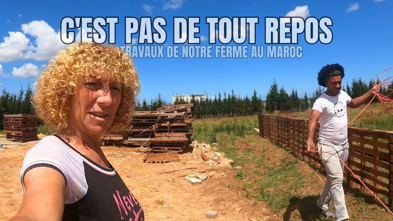 305-UNE NOUVEAUTE DANS NOTRE FERME AU MAROC