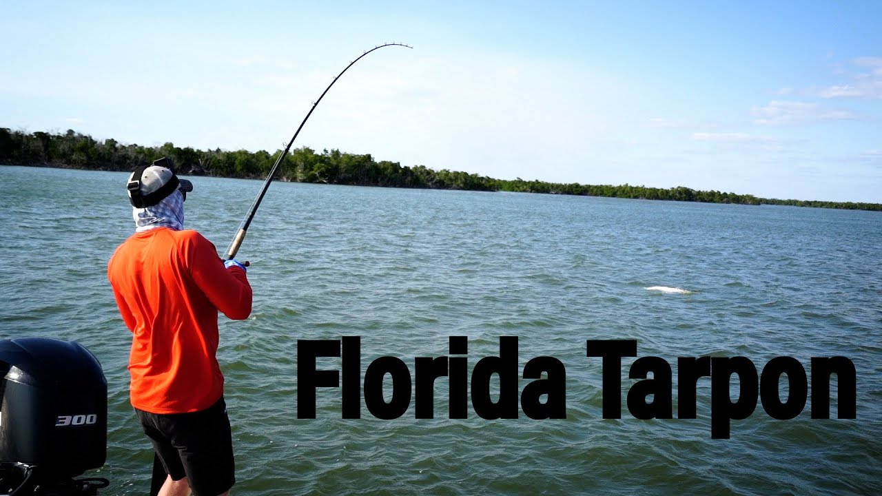 MONSTER Florida Tarpon Fishing | Southwest Florida