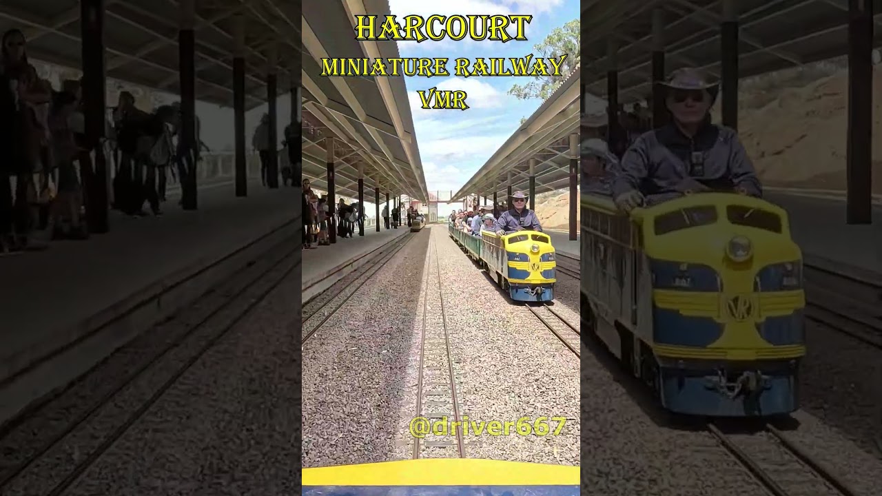 VMR, Harcourt, Central Victoria. Dec 2025. 