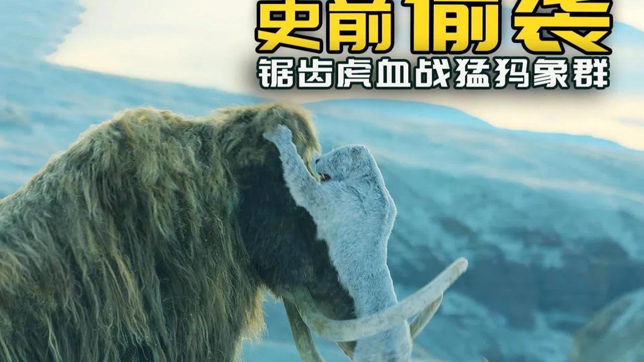真猛犸象在-45℃暴風雪中產崽，剛出世就遭遇鋸齒虎群圍攻...太可憐了！ 