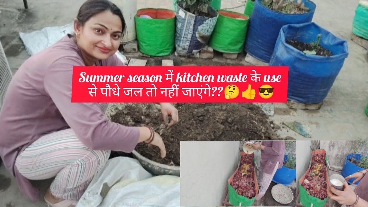Summer season में kitchen waste के use से पौधे जल तो नहीं जाएंगे??🤔😎👍#gardening#kitchengarden#viral 