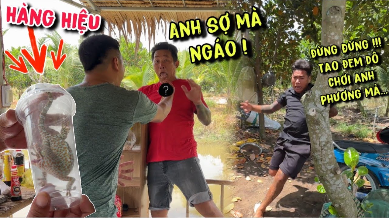 TNB -Đem Khắc Tinh Dô Để Troll Người Ta Nhưng Không Ngờ Mình Cũng Bị Chơi Luôn