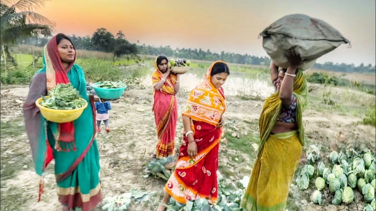 আমাদের বাগানের শীতের যা সব্জী ছিল সব কেটে ফাঁকা করে দিলাম