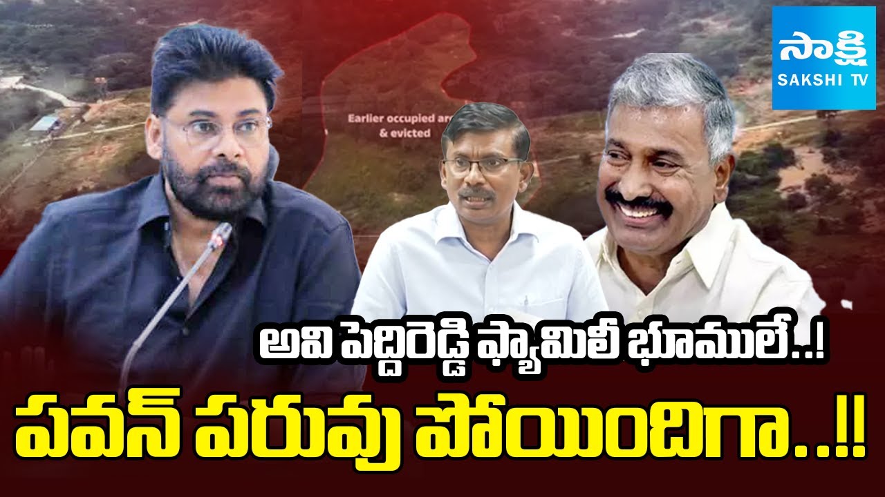 PCCF Chalapathi Rao Reveal SHOCKING FACTS about Peddireddy Family Forest Land Issue | Pawan Kalyan