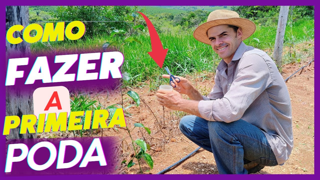 Desvendando os Segredos da Primeira Poda do Maracujá: Guia Passo a Passo para Iniciantes 🚨