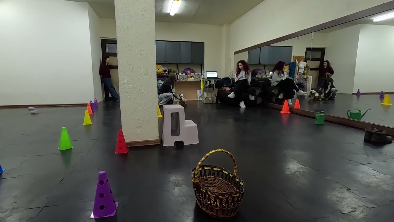 220326 Чуй Софія  Енджи Клас 0 Приміщення MP4