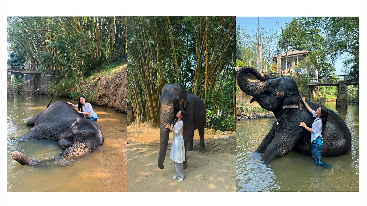 Elephant🐘(Nona)ga erujaminnaba🫧||2026 ki ahanba video & first layover of the year|| Srilanka🇱🇰