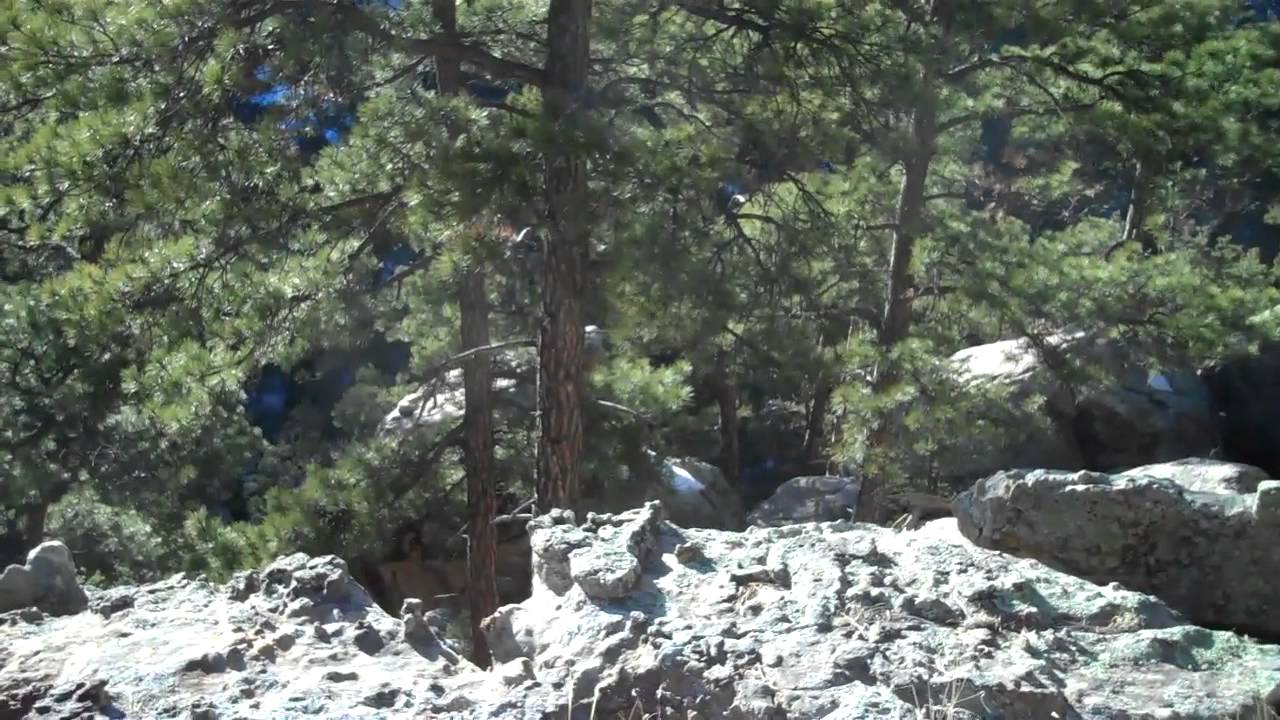 Twin Canyons Ranch 157ac 1 2HR to Santa Fe For Sale.mp4