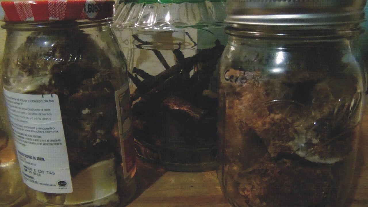 pemmican (la comida de supervivencia )