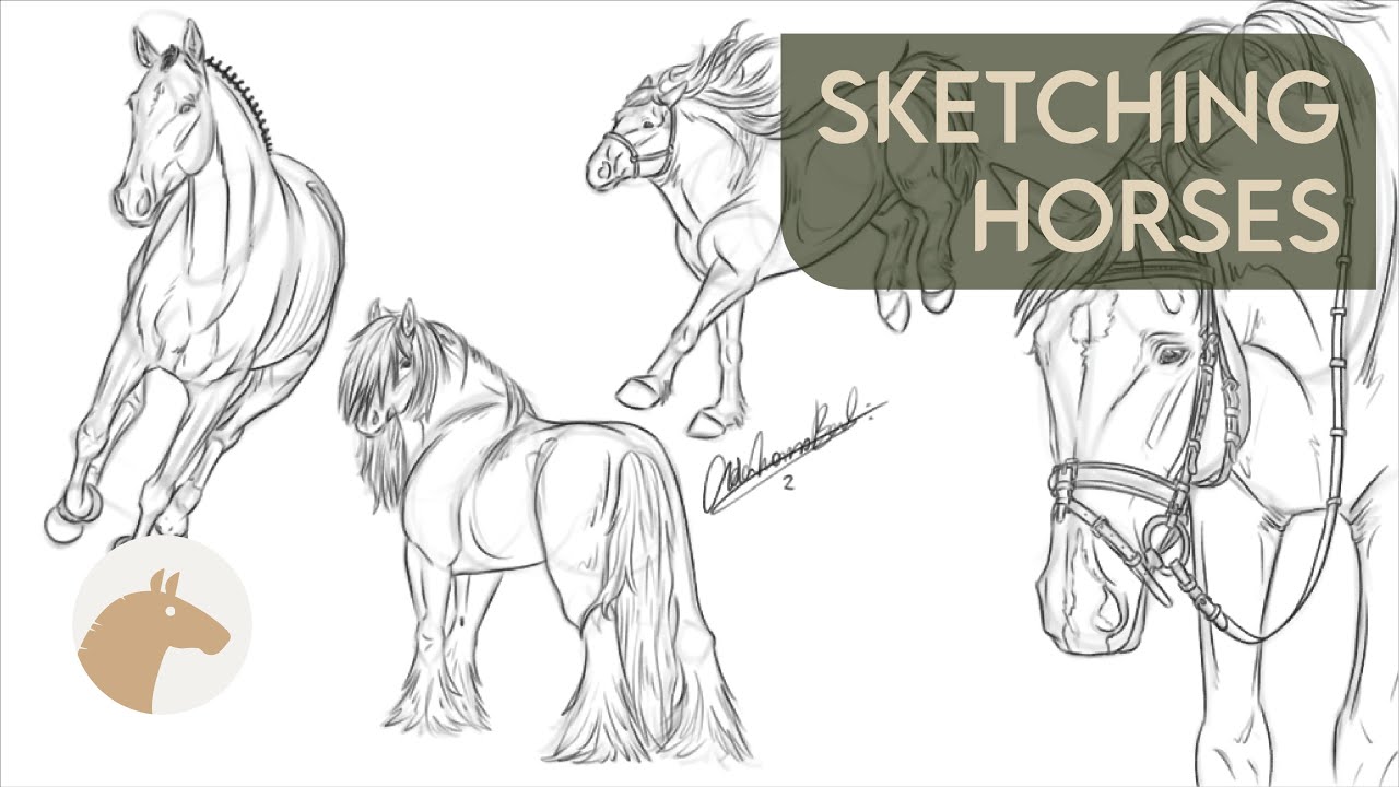 Sketching Horses | 01.02.2024 | Equitación Sin Estrés