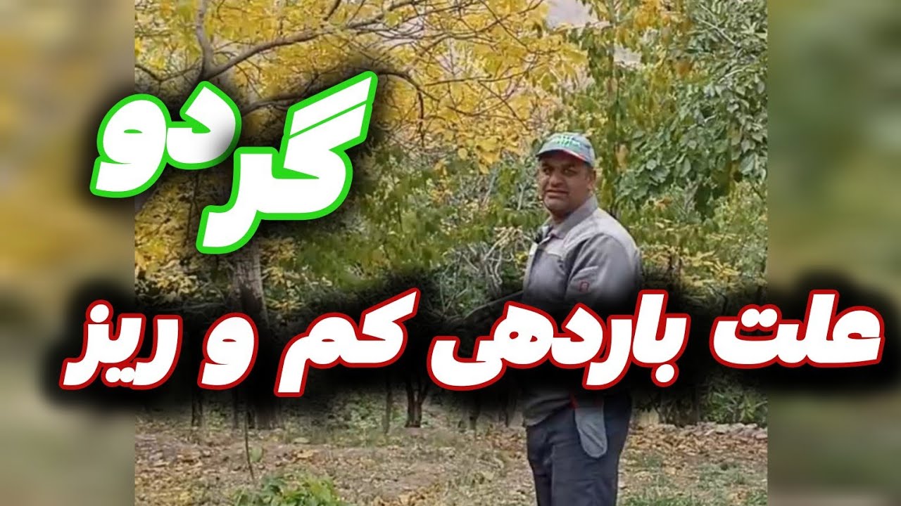 اگر گردوهات کم بار و بی کیفیته،این فیلم حتما ببین