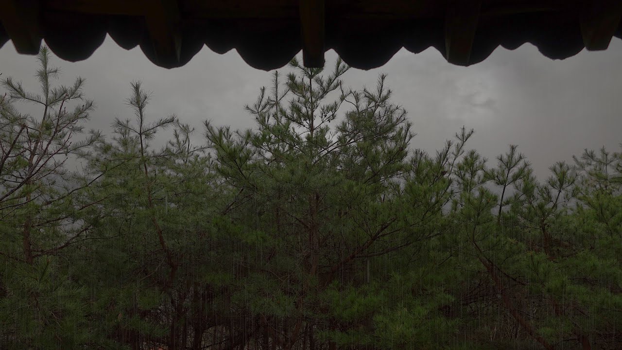 Thunder and Rain Sounds for Sleeping 1 Hour