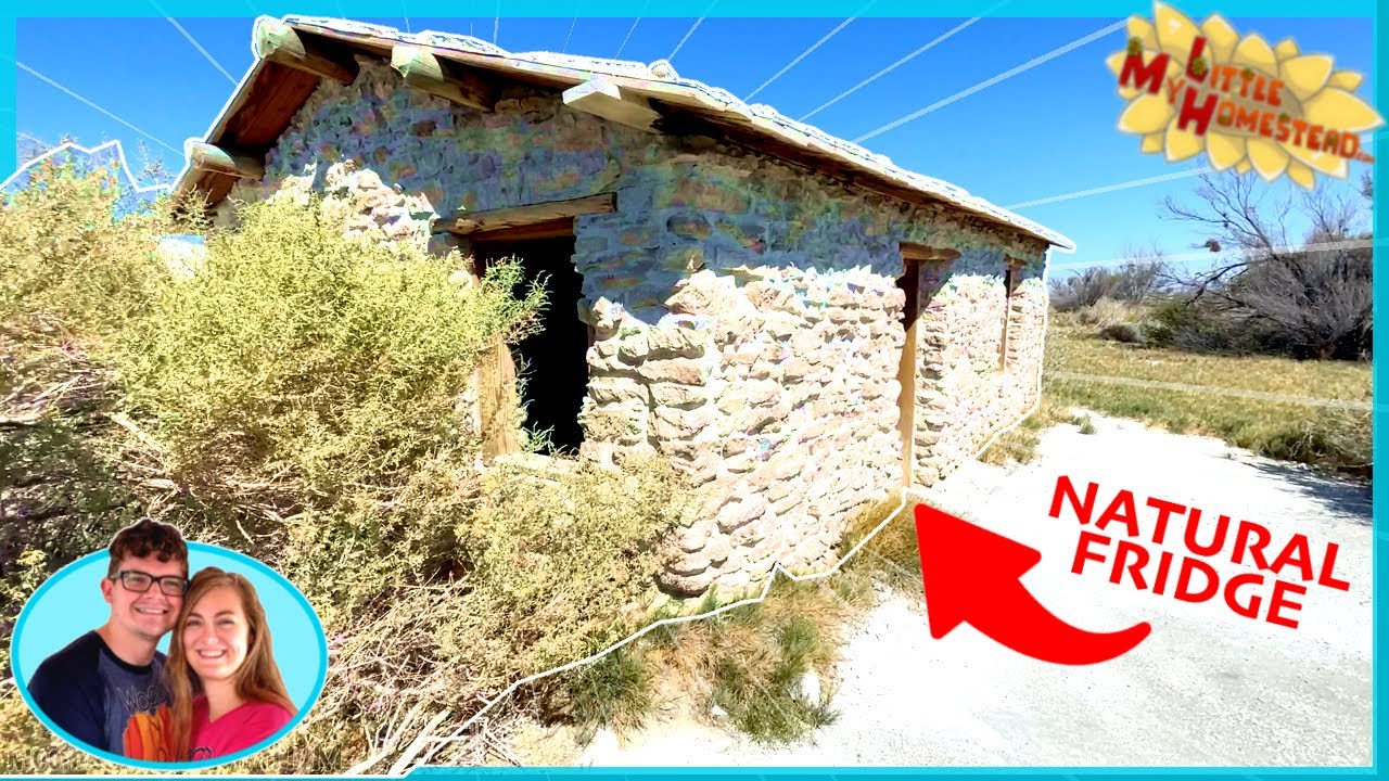3 Shocking Places 🤗 in Death Valley Nevada Desert | Weekly Peek Ep324