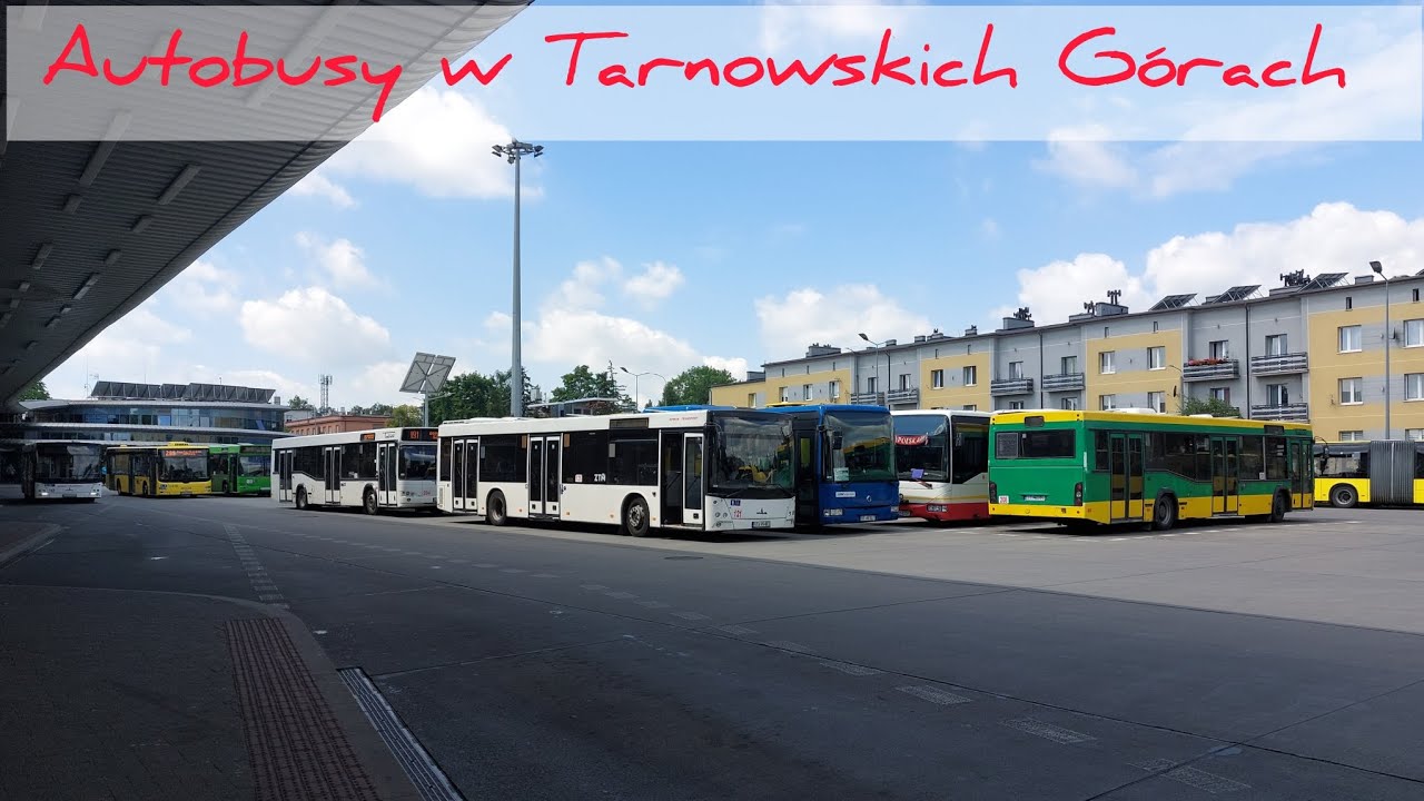 Autobusy w Tarnowskich Górach (07.2024)