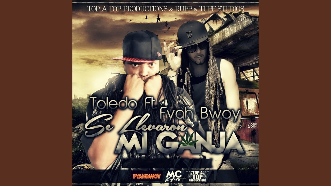Se Llevaron Mi Ganja (feat. Fyahbwoy)