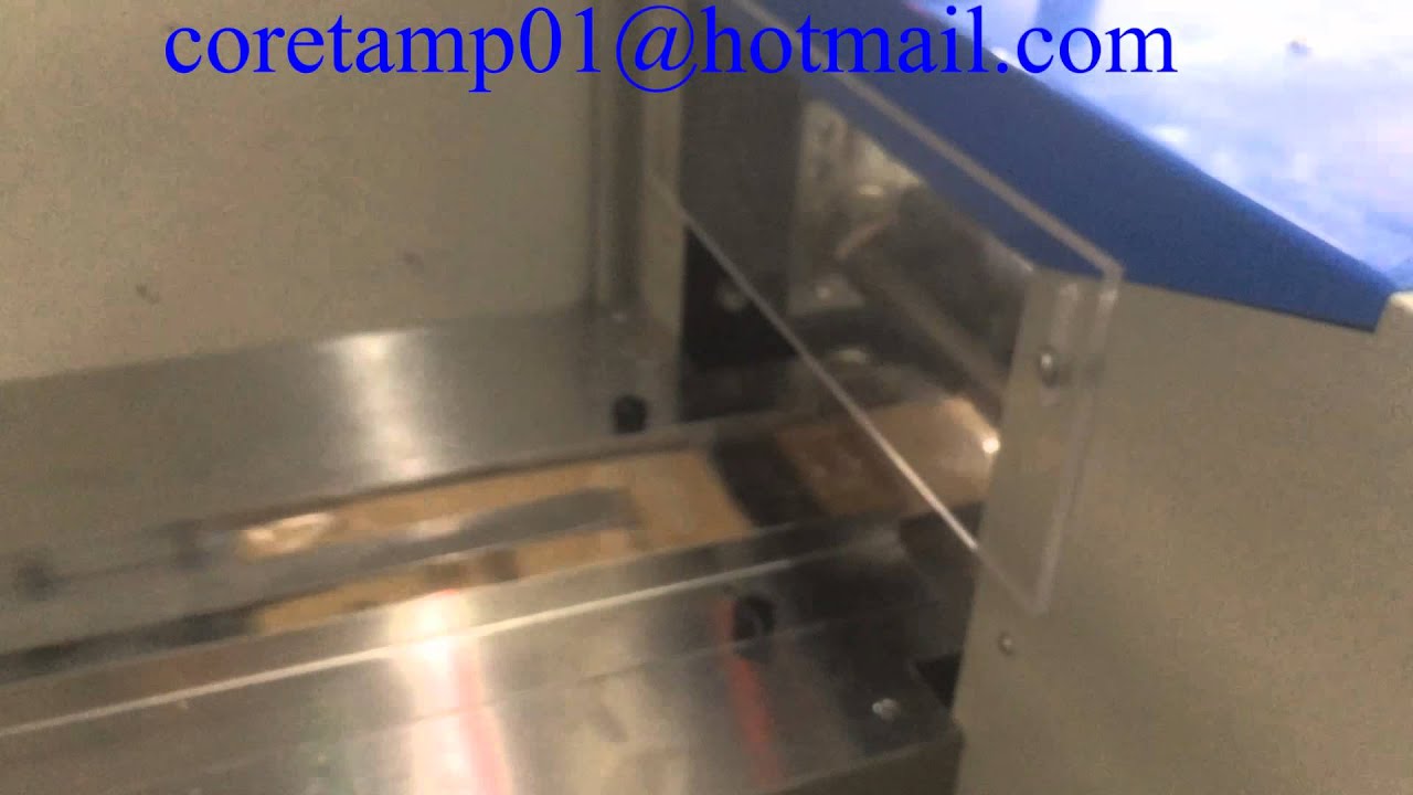FLOW PACKER ,FLOW WRAPPER MACHINE(200mm膜宽）