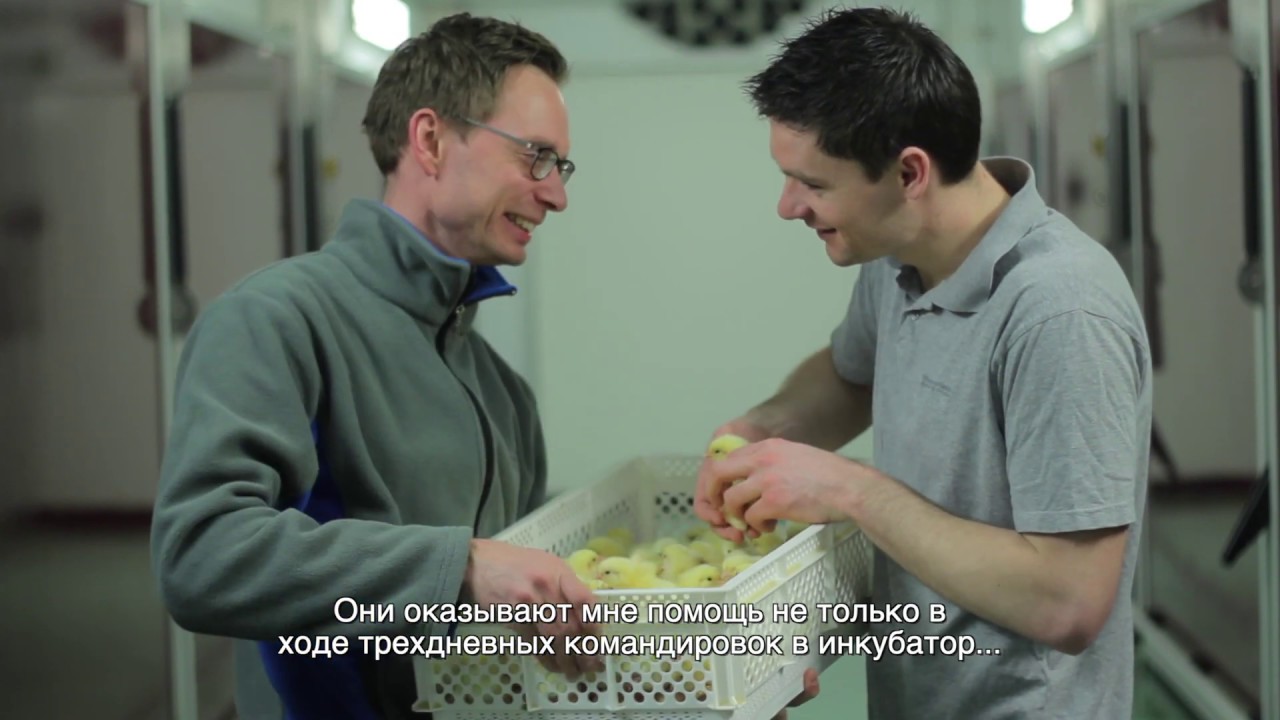 ModernHatch улучшает результаты после работы с командой обслуживания клиентов HatchTech