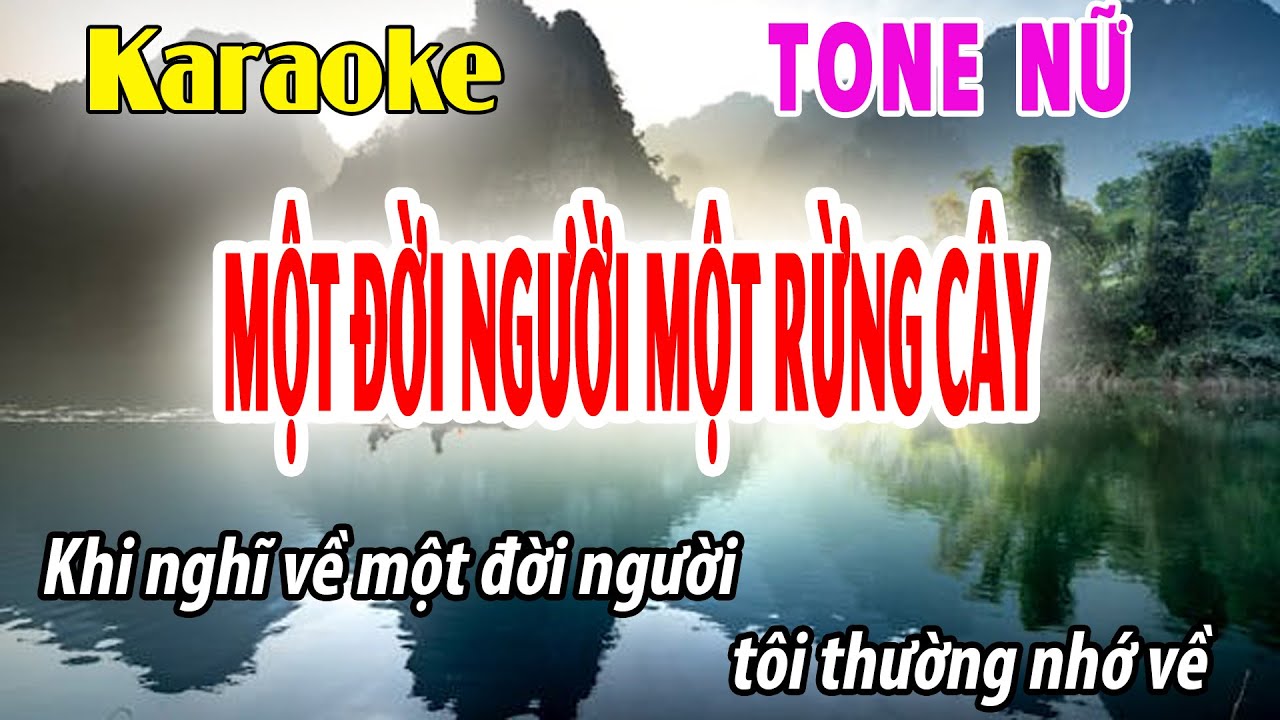 Karaoke Một Đời Người Một rừng Cây Tone Nữ | Dm | Đời Sống Và Âm Nhạc