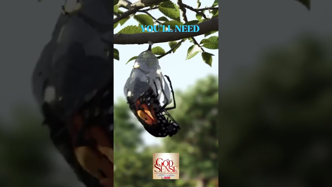 Wings Take Time &ndash; The Butterfly Story That Will Heal You