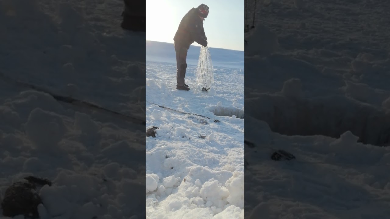 Жизнь как рыбалка не все что ты ожидал. 🤗