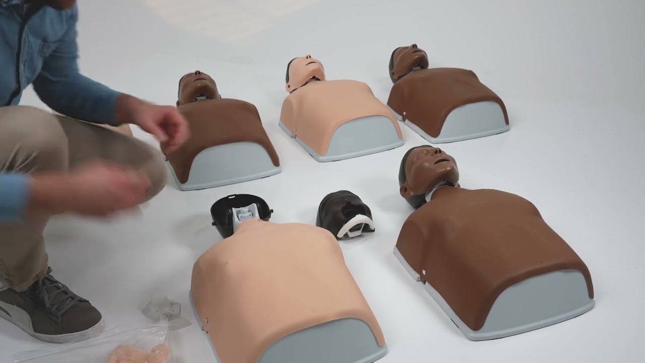 Little Anne - Disassembly 6 pack