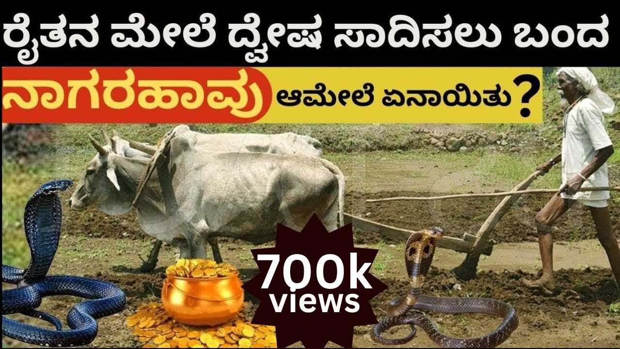 ರೈತನ ಮೇಲೆ ದ್ವೇಷ ಸಾದಿಸಲು ಬಂದ ನಾಗರಹಾವು ನಂತರ ಏನಾಯಿತು ? A Cobra Came to  Take Revenge Upon the Farmer