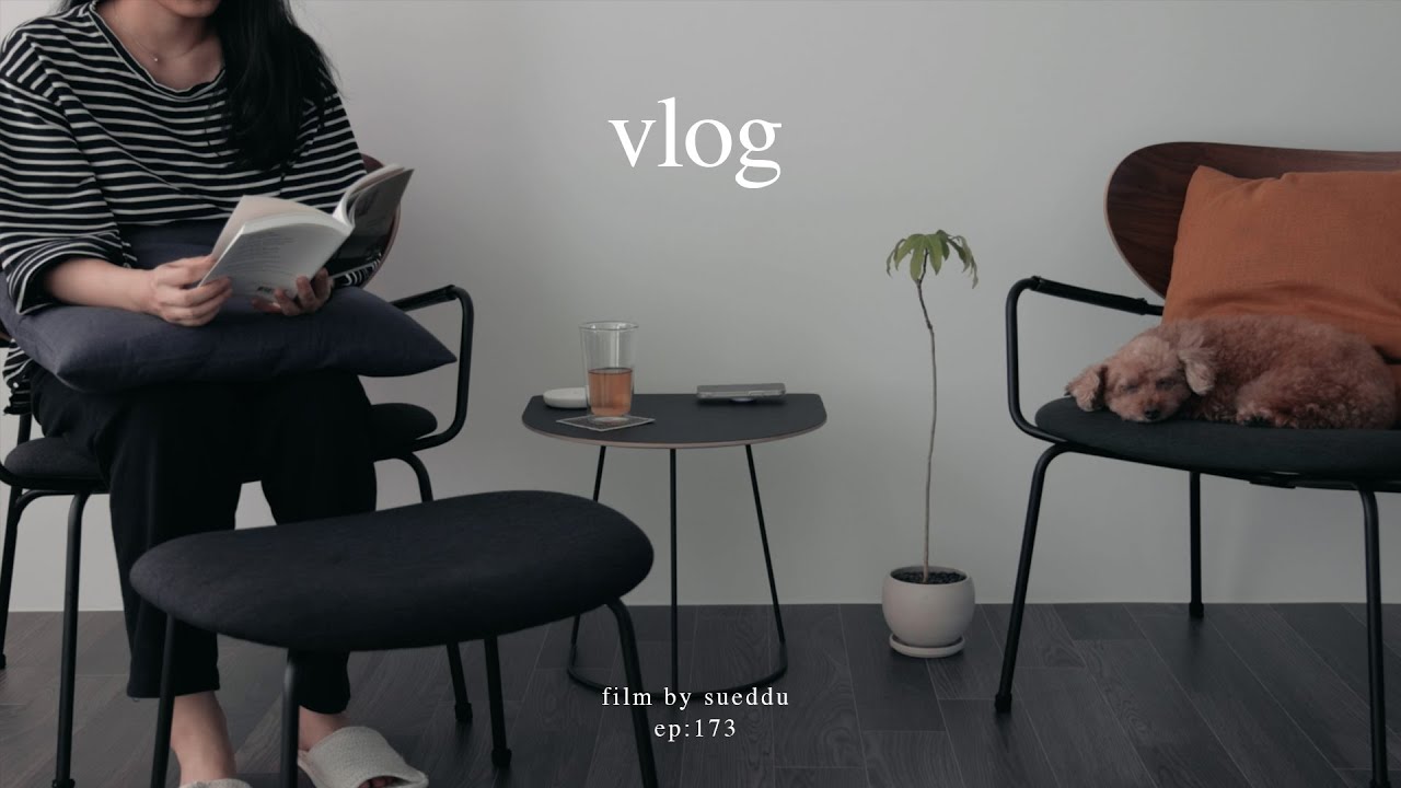 A freelancer's weekend : Meeting w/publisher, Cafe in Seongsu-dong, and being a homebody