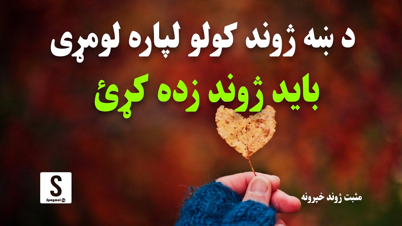 ددغه پنځه ټکو عملي کول مو د سوکاله ژوند لامل کېږي