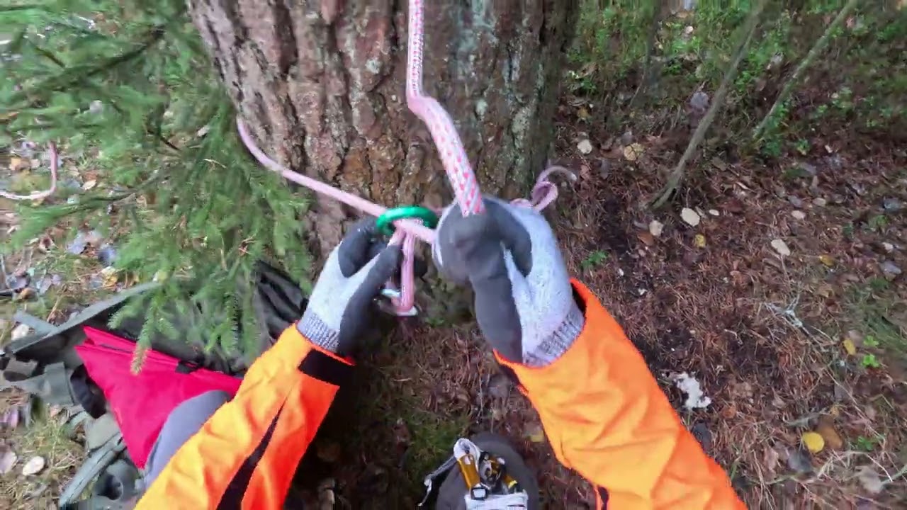 Tree climbing to a geocache