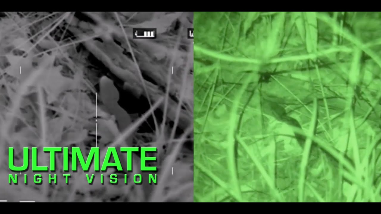 What a Snake Looks like through Night Vision and Thermal Imaging - LWTS, Gen 3 PVS-14