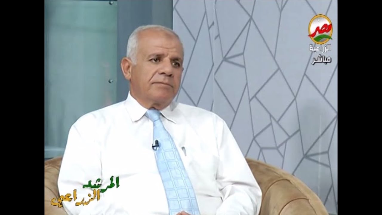 الاعلاف الخضراء الشتوية وتنمية الثروة الحيوانية