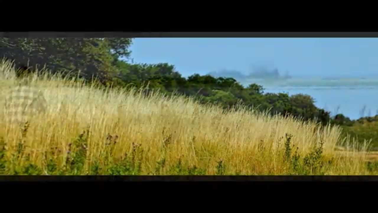 En sommerdag på Mejlø - 2014