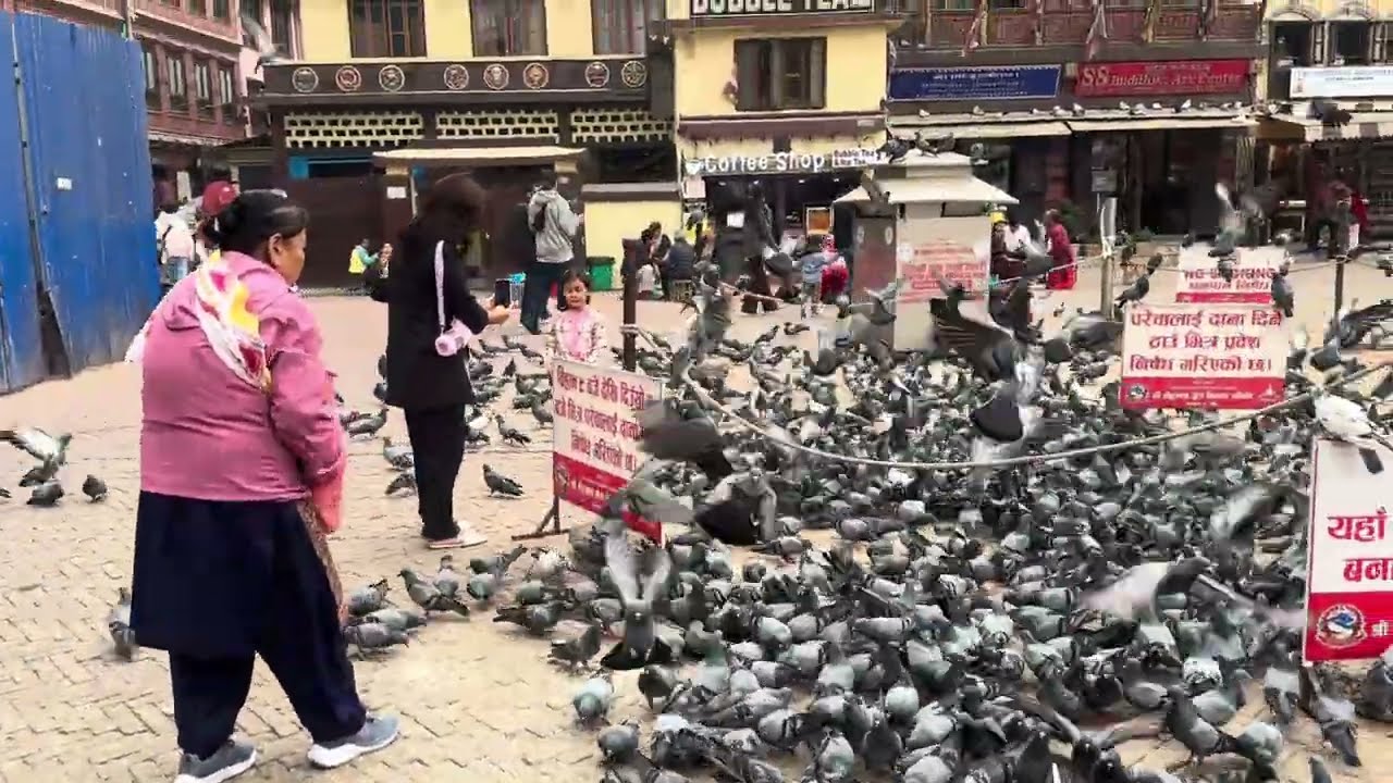 Bauddha stupa Kathmandu Nepal short vlog #nepal #vlog 