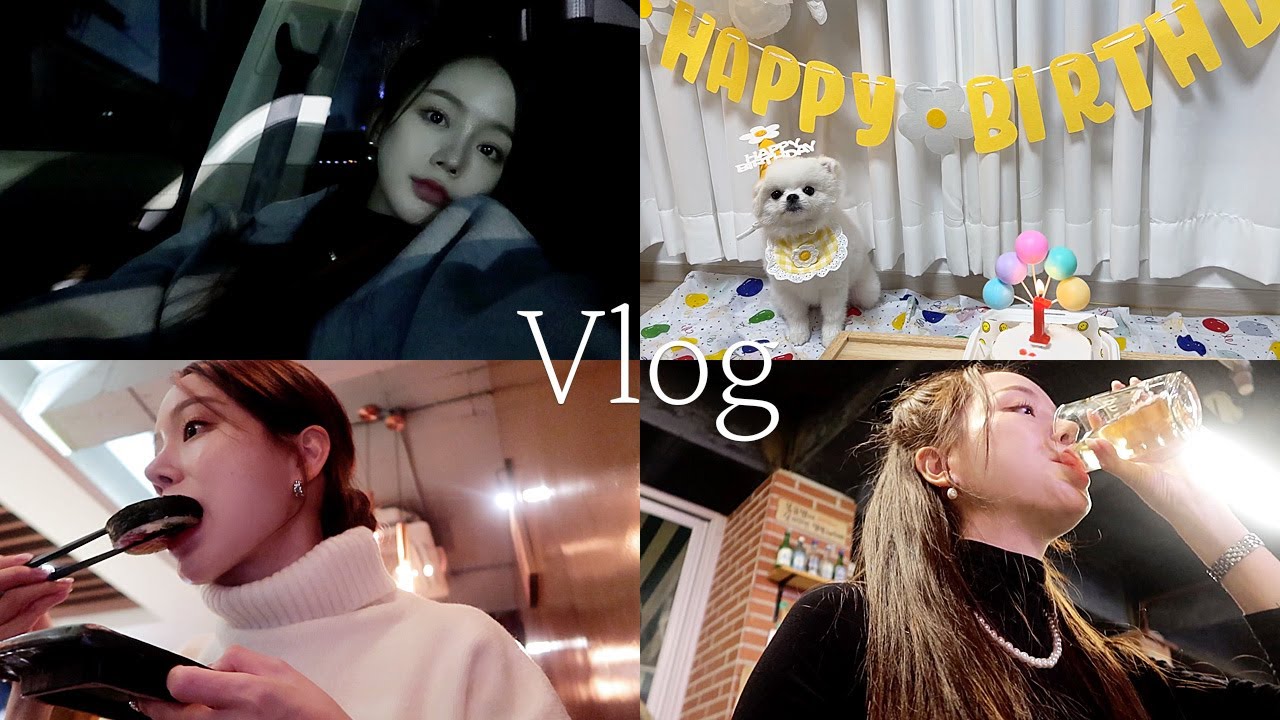 일상 vlog | 이사 가기 전 이것저것 먹부림 | 설탕이 축 한살🎂🐾| 연말 숙취.. | 신림동백순대, 냉삼, 굴, 후토마끼, 스팸김치볶음밥