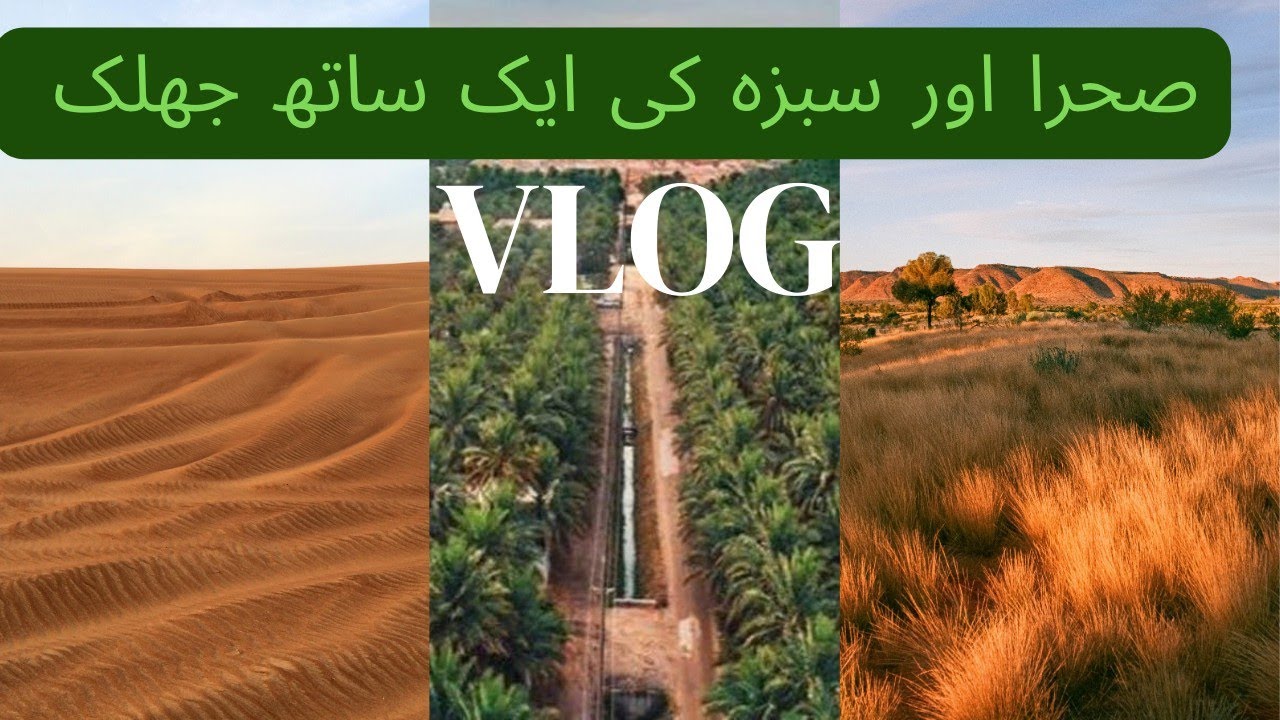 صحرا اور سبزہ کی ایک ساتھ جھلک| @Desiphotography