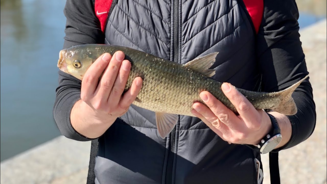 Spinning and Float Fishing in Trosa