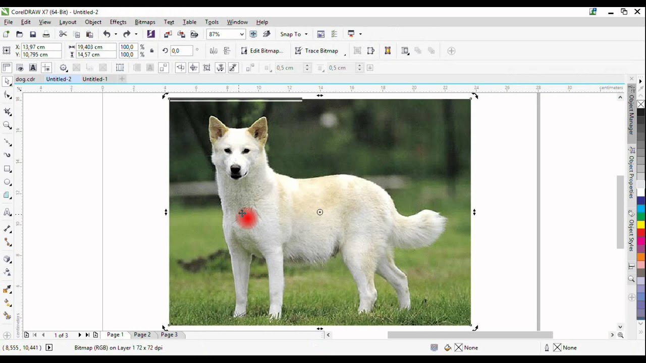 Dog Logo 1: How to extract the outline of a photo in Corel Draw