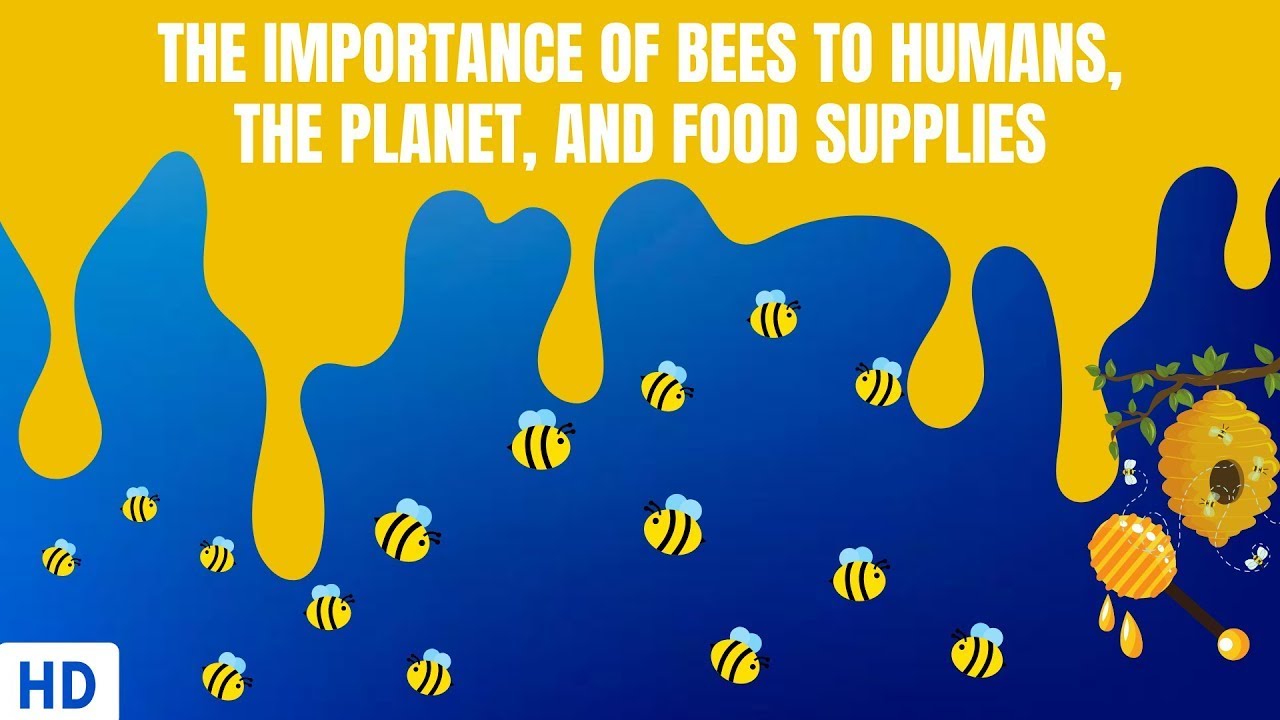 The Importance of Bees To Humans, The Planet And Food Supplies