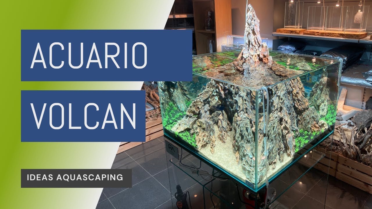 Montaje de un acuario cúbico: Ideas aquascaping