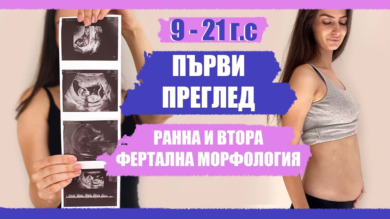 ПЪРВИ ПРЕГЛЕД, РАННА И ВТОРА ФЕТАЛНА МОРФОЛОГИЯ | МОЯТА БРЕМЕННОСТ