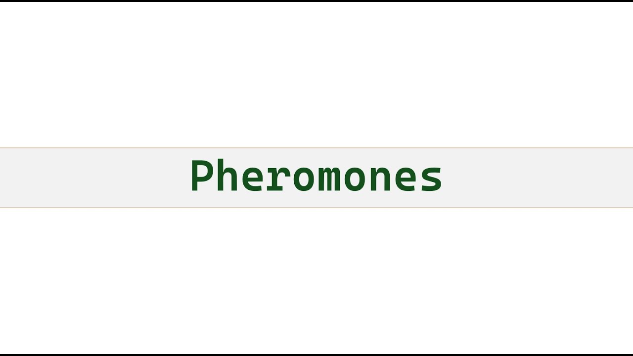 Pheromones