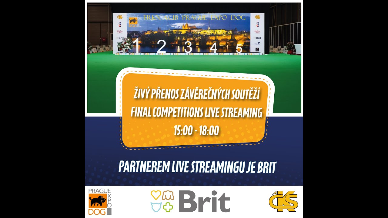 TrioCACIB Prague Expo Dog 2024 Live Stream