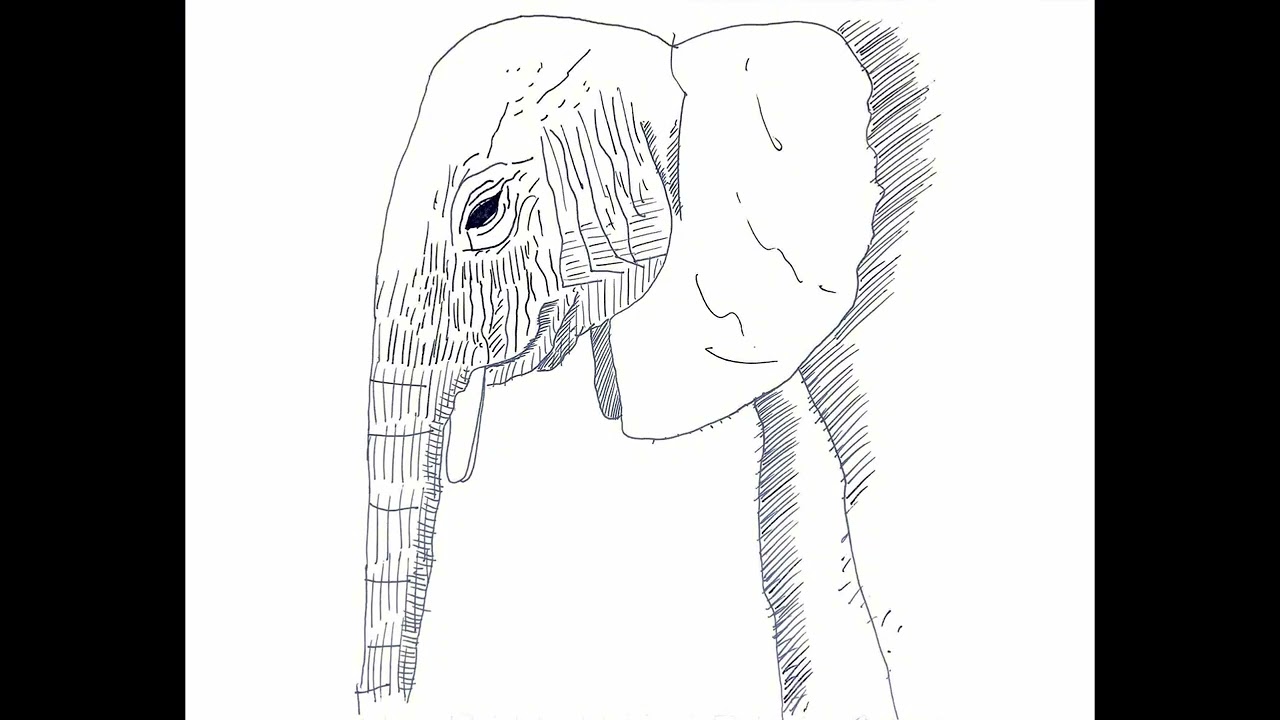White Elephant Heart