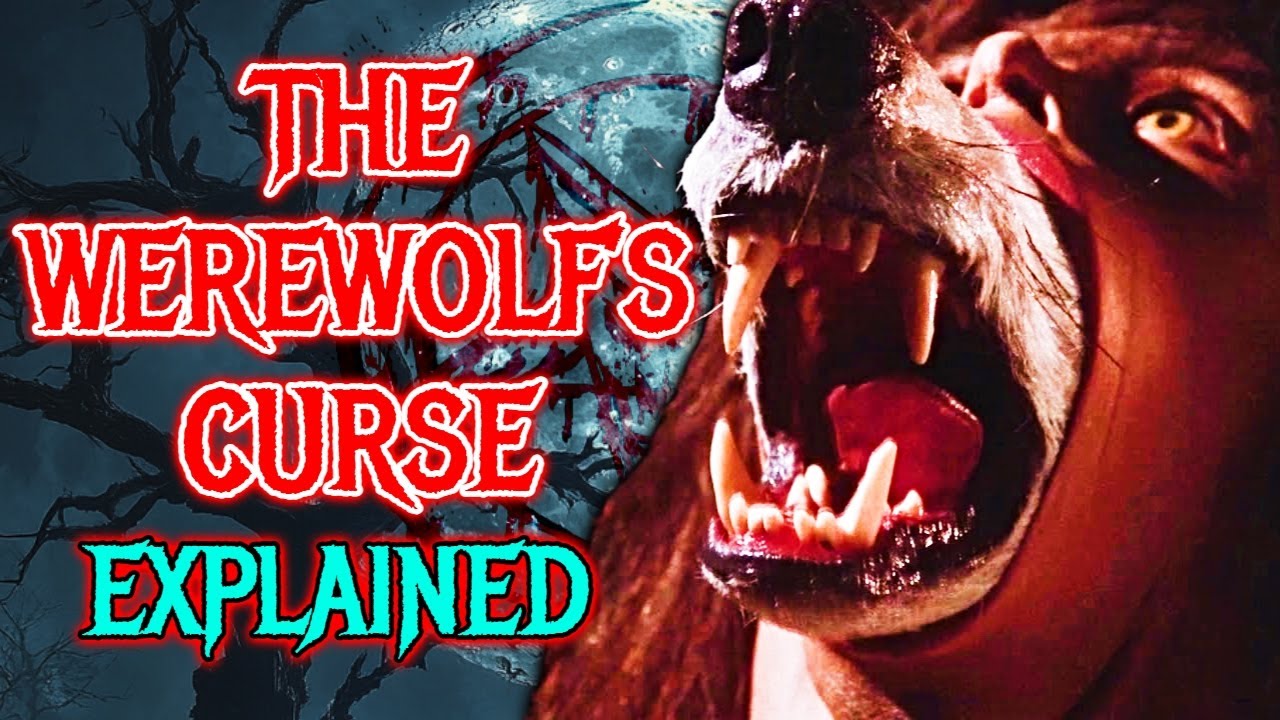 The Werewolf&rsquo;s Curse - Explained - How A Curse Changes A Wolf Into A Bloodthirsty Humanoid Wolf!