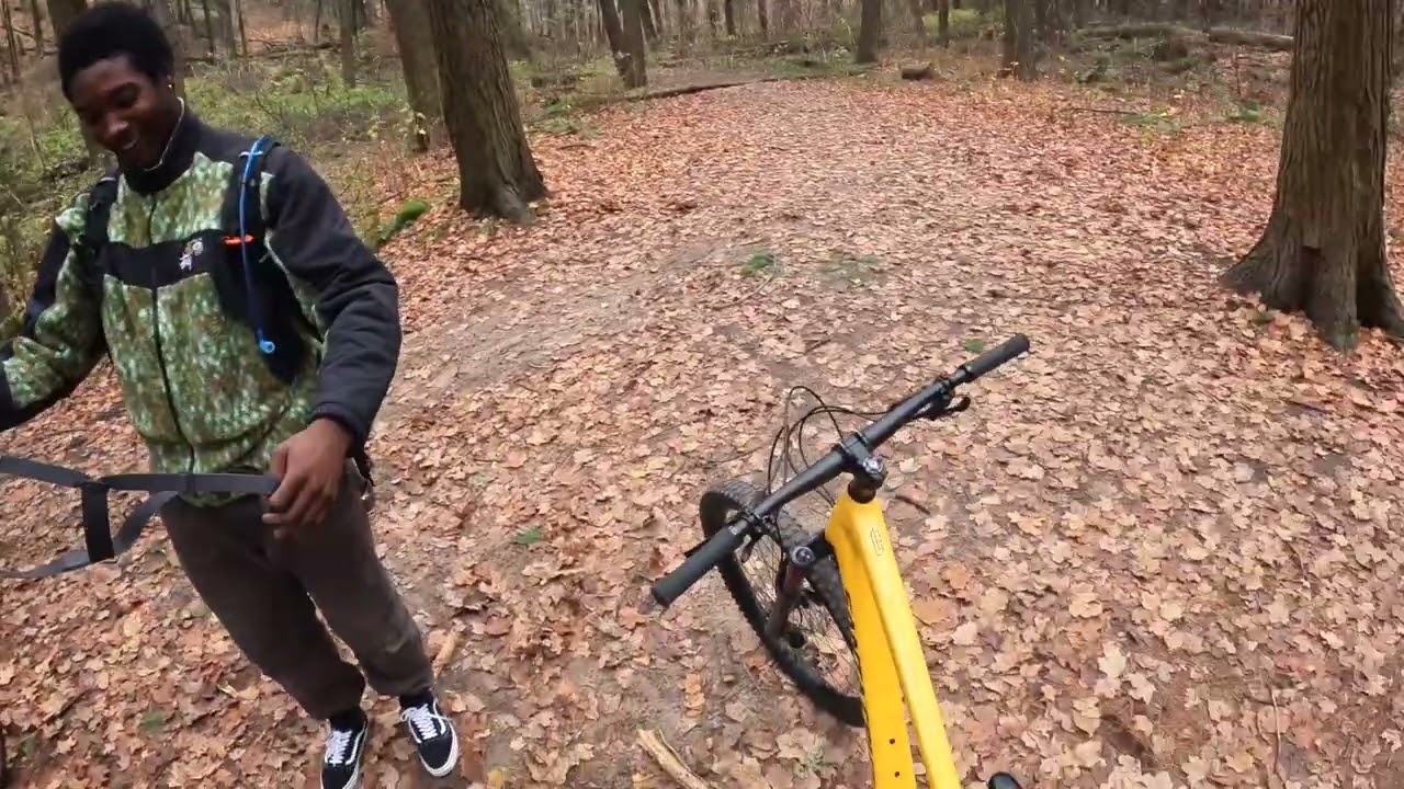 Exploring Jefferson Forest
